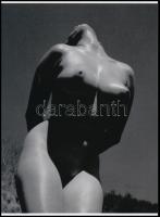 cca 1951 André de Dienes (korábban Ikafalvi-Dienes Andor György) (1913-1985) magyar - amerikai fotóriporter és fotóművész felvétele (Mellcsúcs), szolidan erotikus felvétel, 1 db modern nagyítás, jelzés nélkül, 21x15 cm