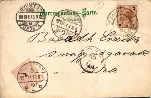 1899 (Vorläufer!) Ljubljana, Laibach; St. Jakobs-Damm. Carl Otto Hayd Kunstverlags-Anstalt München N...