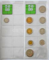 71db vegyes dél-amerikai fémpénz országonként rendezve, közte Brazília, Chile, Ecuador, Guyana, mind...