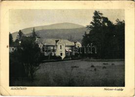 1936 Kéked-fürdő (Alsókéked), Melczer féle uradalmi kastély. Weszely R.T. kiadása (EB)