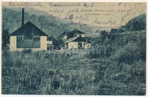 1908 Gyertyánliget, Polyana-Gyertyánliget, Kabola Polyána, Kobyletska Poliana (Máramaros, Maramures); vasgyár. Wizner és Dávid kiadása / ironworks, iron factory (ázott sarok / wet corner)