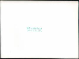 cca 1975 Romos Ziu-5-ös trolibusz (orosz) buszon játszó gyerekek, Ornódi László, Pécs, hátoldalon pe...