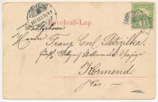 1907 Nagydisznód, Heltau, Cisnadie; Ev. Schule, Kirche, Totalansicht / Evangélikus templom és iskola...