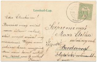 1906 Dicsőszentmárton, Tarnaveni, Diciosanmartin; Rákóczi utca. Hirsch Mór kiadása / street view (fl...