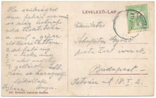 1911 Tövis, Teius; Oroszlán szálloda. Ábrahám testvérek kiadása / hotel (fl)