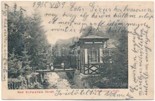1905 Előpatak, Valcele; Lobogó fürdő / spa, bathhouse (fl)