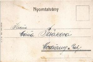 Pöstyén, Pistyan, Piestany; Vágvölgy, Erzsébet út, Vág hídja, eredeti fahíd. K.J. Bp. 1917/21. / bri...