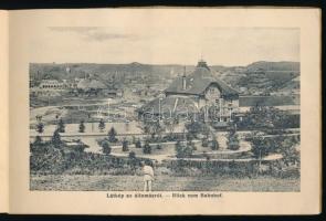 cca 1900-1910 Vízakna fürdő - Bad Vizakna (Ocna Sibiului), Erdély, képes album 12 fekete-fehér fotóv...