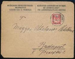 1915 Levél "MEZŐHEGYES-KÉLEGYHÁZA" vasúti mozgóposta bélyegzéssel