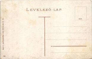 Arad, Gróf Károlyi híd, faúsztatás. Mandl J. kiadása / bridge, wood transporting (kopott sarkak / wo...