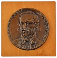 Domonkos Béla (1934-2020) 1984. "A Vörösmarty iskoláért - Kiskunlacháza 1984" egyoldalas öntött bronz plakett fatáblán (~109mm) T:AU