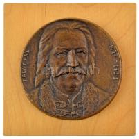 Domonkos Béla (1934-2020) 1981. "Ráday Pál 1677-1733" egyoldalas öntött bronz plakett fatáblán (~107mm) T:AU