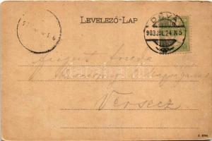 1903 Vajdahunyad, Hunedoara; Vajda-Hunyad vára. Hirsch Adolf kiadása / castle (kopott élek / worn co...