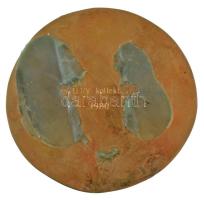 1980. "Magyar Építőipar" egyoldalas bronz plakett, hátoldalán "ÉSZAKTERV kollektívájá...