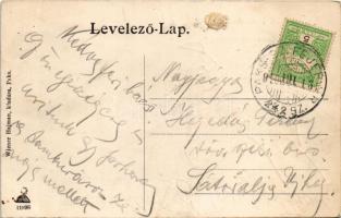 1910 Paks, Duna részlet a Fő utcáról, paksi borok, Tokaji Cognac főraktára. Wiener Hajman kiadása + ...