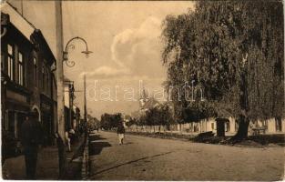 1916 Szászsebes, Mühlbach, Sebesul Sasesc, Sebes; Sikulorumgasse / Székely utca, üzletek. H. Heitz kiadása / street view, shops (EK)