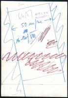 Brigitte Bardot színésznő portréja, sajtófotó, hátoldalon pecséttel jelzett, 18×12,5 cm