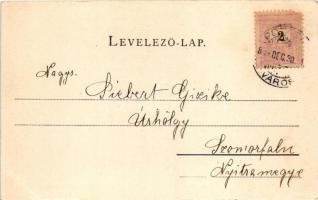 1899 (Vorläufer!) Pozsony, Pressburg, Bratislava; Ferenciek tornya a ligetben. Schmidt Edgar kiadása...