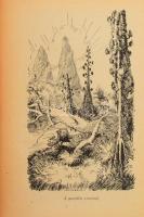 Magyar László utazása a délafrikai Bihé országba. Ifjúsági Könyvtár 10. sz. Bp., [1926], Pallas, 134...