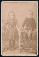 cca 1880 Kislány és kisfiú portréja, keményhátú fotó Franciscy Gyula körmöcbányai műterméből, alja vágott, kissé foltos, 10x6,5 cm.