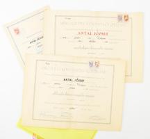 1951-54 3 db könyvelői, könyvvizsgálói oklevél egyiken Hetényi István leendő miniszter sk aláírása