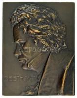 Ausztria ~1910. "Beethoven" bronz plakett kitámasztóval. Szign.: Franz Stiasny (65x53mm) T:AU,XF / Austria ~1910. "Beethoven" bronze plaque with support on back. Sign.: Franz Stiasny (65x53mm) C:AU,XF
