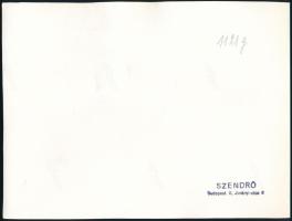 1945 Szendrő István (1908-2000): Balerina felhők alatt, hátoldalon pecséttel jelzett vintage fotóműv...