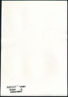 1945 Szendrő István (1908-2000): Akt a Balatonnál, hátoldalon pecséttel jelzett vintage fotóművészet...