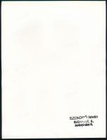 1945 Szendrő István (1908-2000): Félakt, hátoldalon pecséttel jelzett vintage fotóművészeti alkotás,...