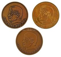 DN "Ady Endre 1877-1919" kétoldalas bronz emlékérem (3xklf) változat: natúr bronz, aranyozott, felületkezelt bronz (60mm) T:AU,XF