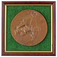 DN Ady Endrét ábrázoló egyoldalas, öntött bronz plakett keretben (~107mm) T:AU,XF