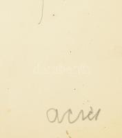 Aczél Ilona (1929-2000): Hölgy hátuulról, papír, jelzett. Üvegezett fakeretben. 30x20 cm