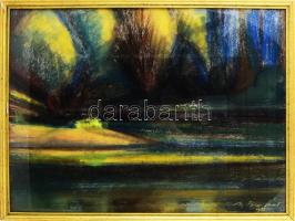 ifj. Éber Sándor (1909-1985): Napos táj. Pasztell, papír. Jelzett. Szakadással. 47x62 cm Üvegezett keretben