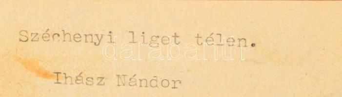 Kováts Károly (1875-1946): Széchenyi liget télen. Pasztell, papír. Jelzett. Kissé sérült üvegezett k...