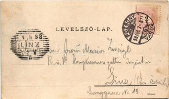 1898 (Vorläufer!) Pozsony, Pressburg, Bratislava; Jaklitsch János üzlete, Duna part, borospince, étt...