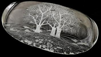 Préselt üvegtálca, tavaszi rét mintával, hibátlan, 25x43 cm