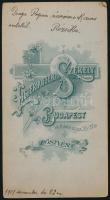 1901 Elegáns hölgy portréja, kabinetfotó Liederhoffer és Székely (Budapest - Pöstyén) műterméből, a ...
