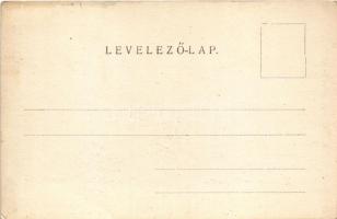 Budapest V. Deák tér, Reinisch Testvérek élővirág csarnoka, evangélikus templom, villamos, Bretschne...