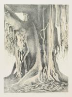 Olvashatatlan jelzéssel: Ficus I, Alicante. Litográfia, papír, számozott (25/12), lapszéli apró szakadásokkal, 45,5x34,5 cm.