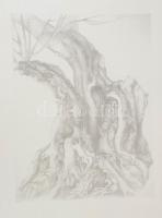 Jelzés nélkül: Fa. Litográfia, papír, lapszéli ázásnyommal, 45x34 cm.