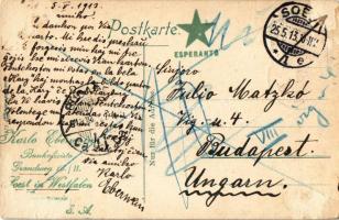 1913 Ilsenburg (Harz), Ilsefälle. Loius Glaser / waterfall, with Esperanto stamp. TCV card (Rb)