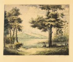 Gannay János (1905-1992): Tópart (horgásszal). Színezett rézkarc, papír, jelzett, lapszéli foltokkal, 26,5×33,5 cm