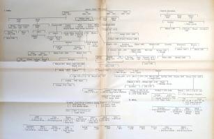 Bártfai Szabó László: 
Pest megye történetének okleveles emlékei 1002-1599-ig. Függelékül az inárch...