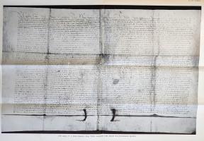 Bártfai Szabó László: 
Pest megye történetének okleveles emlékei 1002-1599-ig. Függelékül az inárch...