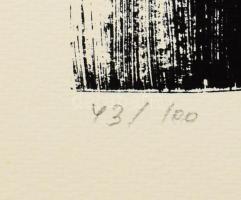 Szász Endre (1926-2003): Szürrealista férfi. Szitanyomat, papír, jelzett, 43/100 számozással. 47x67 ...