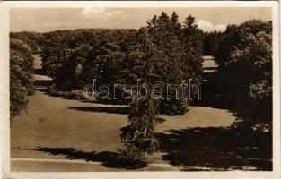 Füzérradvány, Radvány; park részlet (gyűrődés / crease)