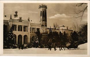 Füzérradvány, Radvány; Károlyi kastély szálló télen, lovasszán