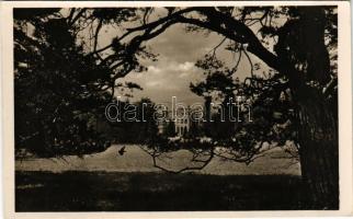 Füzérradvány, Radvány; Károlyi kastély szálló. Schmidt Nándor felvétele és kiadása