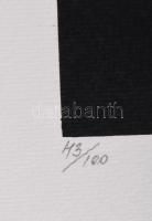 Szász Endre (1926-2003): Angyal. Szitanyomat, papír, jelzett, 43/100 számozással. Lapszéli apró folt...