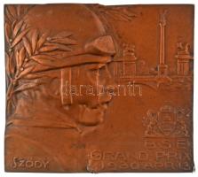 1930. "BSE (Budapest Sport Egyesület) Grand Prix 1930. ápr. 13." nagyméretű bronz plakett "Király Kálmán műszaki főtanácsosnak" gravírozással, hátoldalán csavaros rögzítővel. Szign.: Sződy Szilárd (173x155mm) T:márványlapról lefeszegetve, több sérüléssel